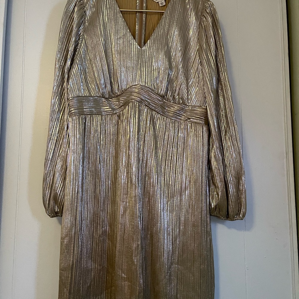 Destination Maternity Metallic Long Sleeve Dress